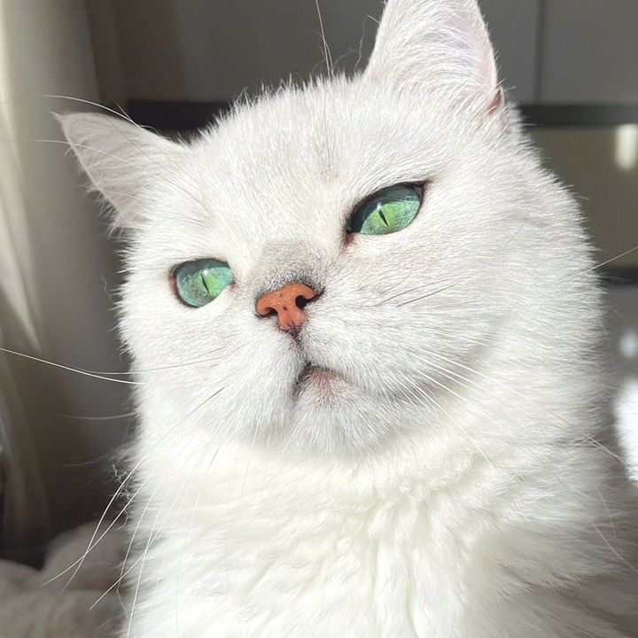 wwawrdgxsbp
