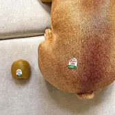 marieproductfinds_