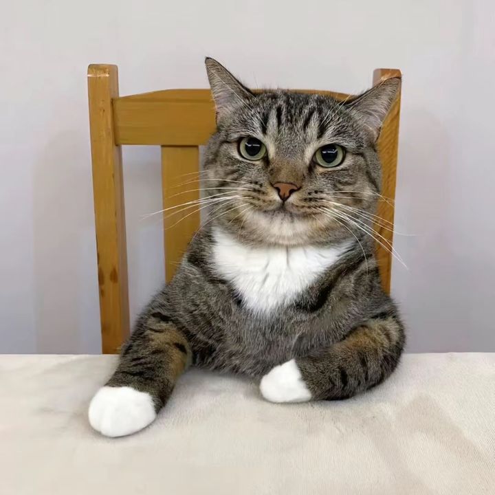 julio