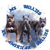 M3BULLIES