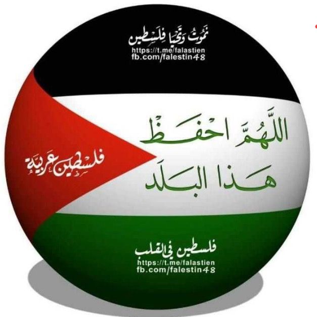 Kamel007🕵️‍♂️🇵🇸كمال