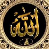 user25044431243