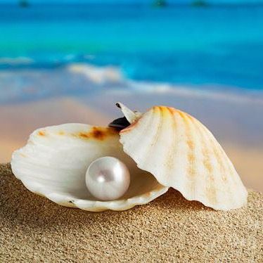Pearl Beauty