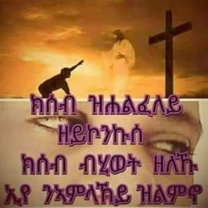 habesha family 2020 tv4u