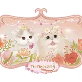 kitty