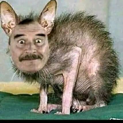 🇲🇽EL COJE YEGUAS Y BURRAS🐨