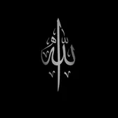 user03622679216
