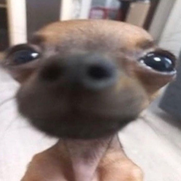 lilbeanreviews