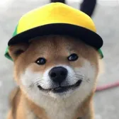 baobaogame391