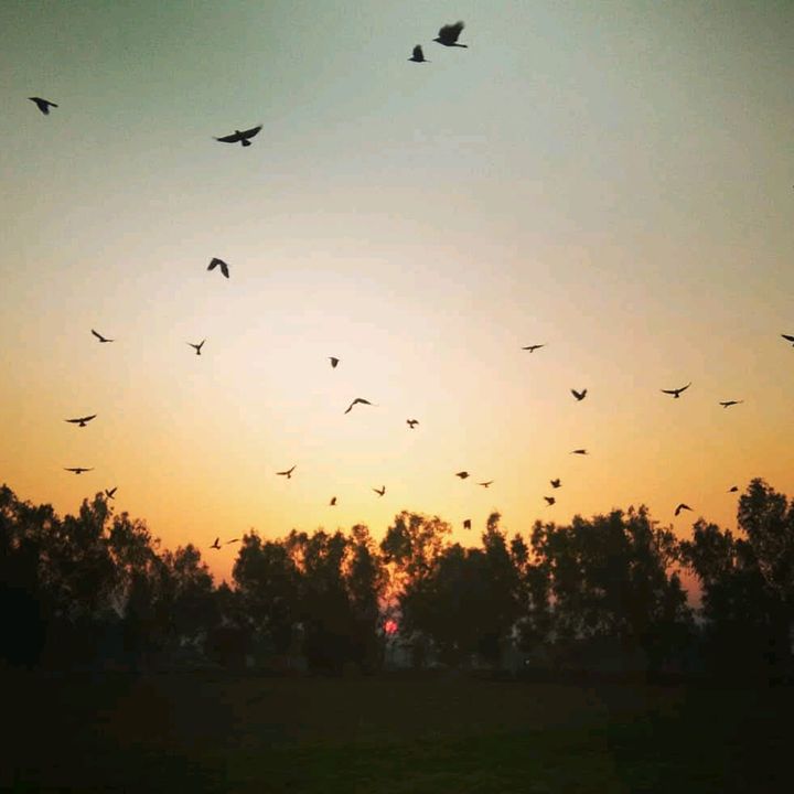 Punjab De Jaaye ਪੰਜਾਬ ਦੇ ਜਾਏ