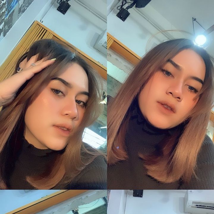 dinisnovita