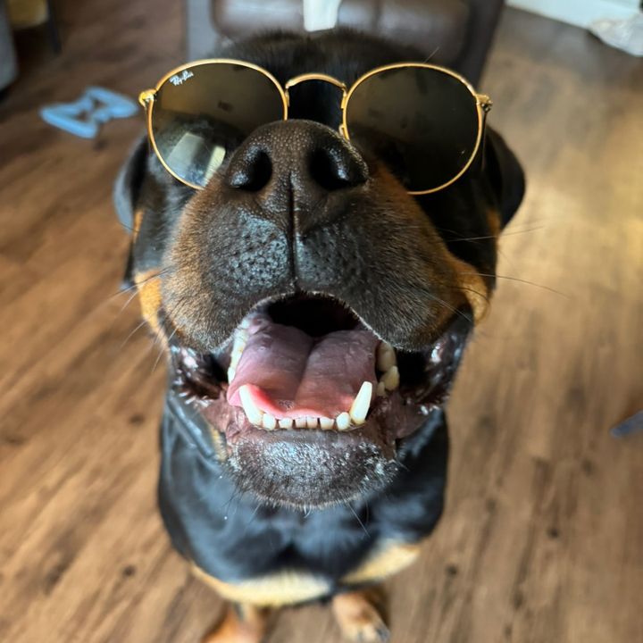 gooseandmowgli