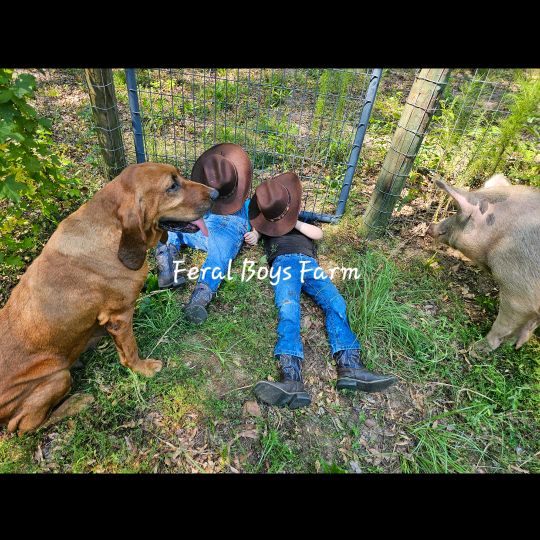 FeralBoysFarm