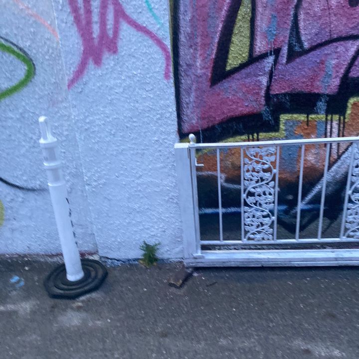 Fly