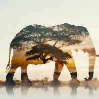 wild_wonders_daily
