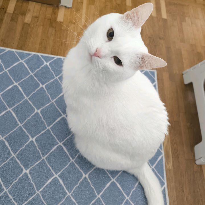 Dmitri