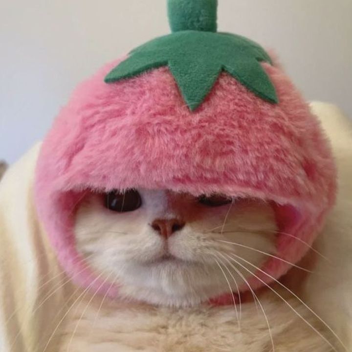 🍓