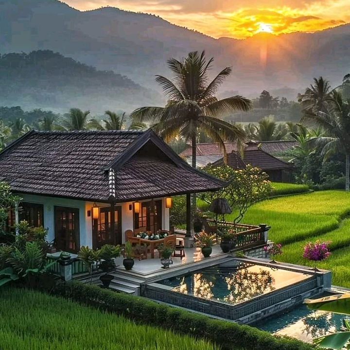 onlineshopYD