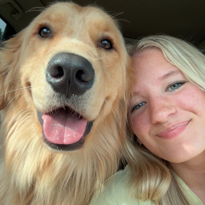 kash_the_golden