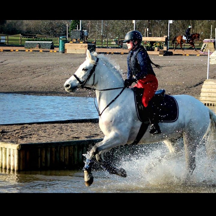 🇬🇧Rosie_Equine🇬🇧