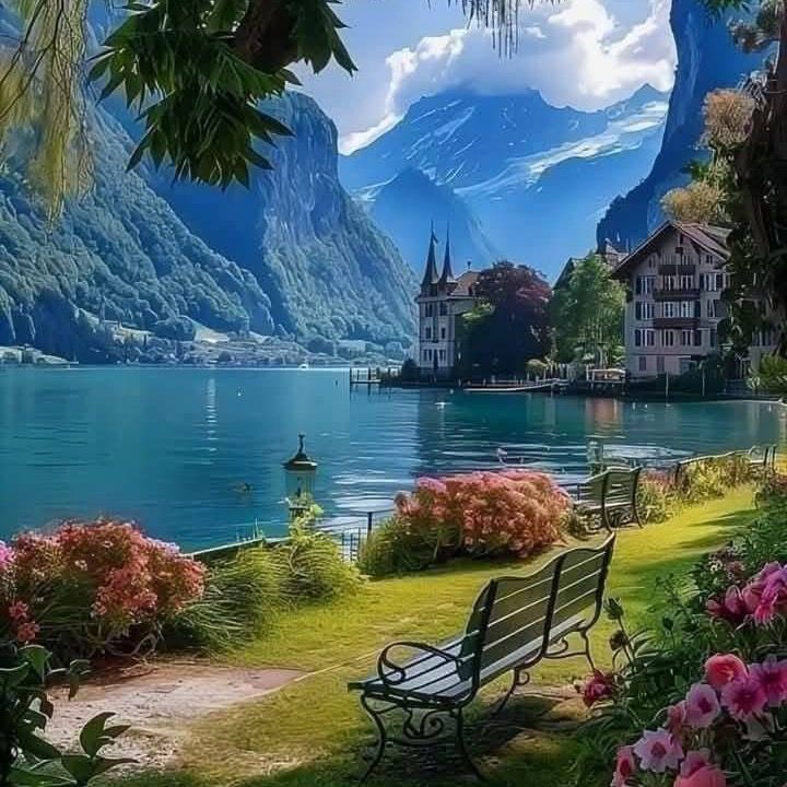 bella vista