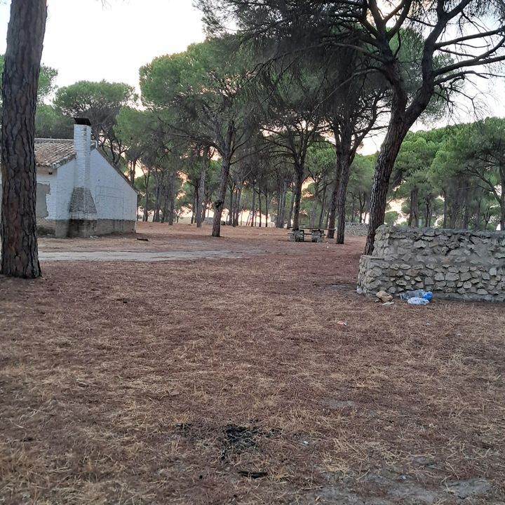 ebnolkaria