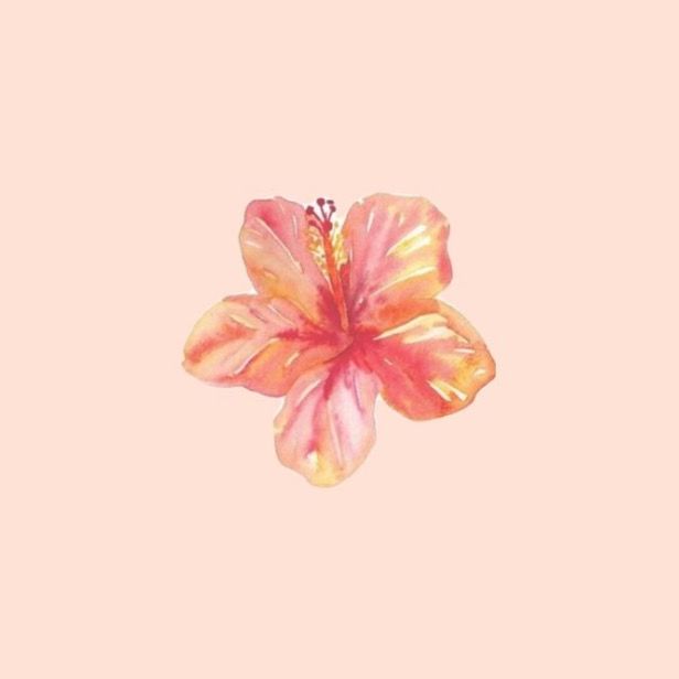 Zahra 🌷