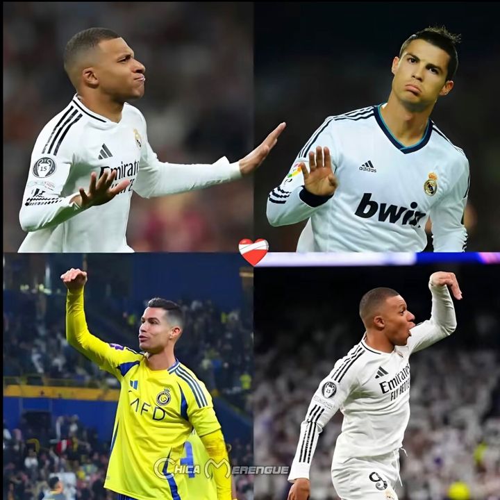 sedinho44