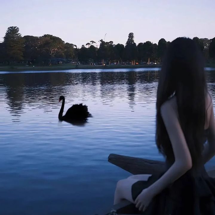 ききょう