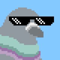 lilpigeon