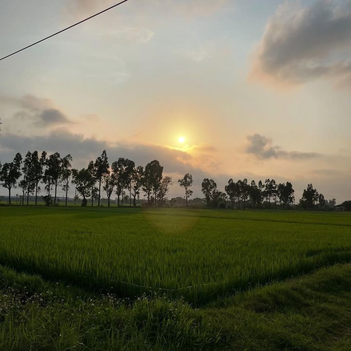 Nông Dược Minh Anh