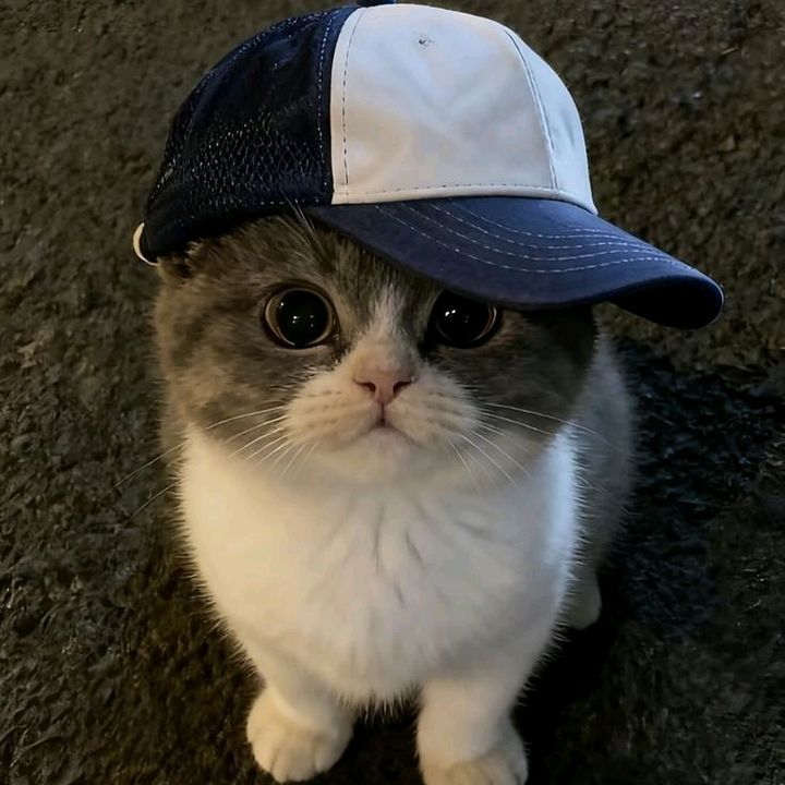 misuuuii