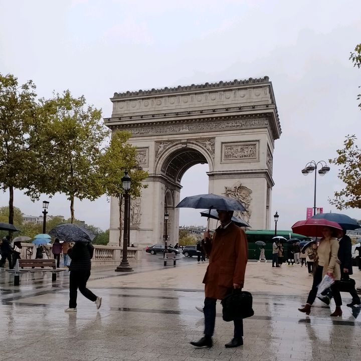 Rose In Paris