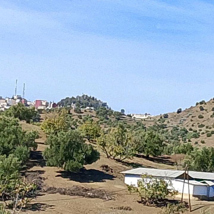 hafid espania