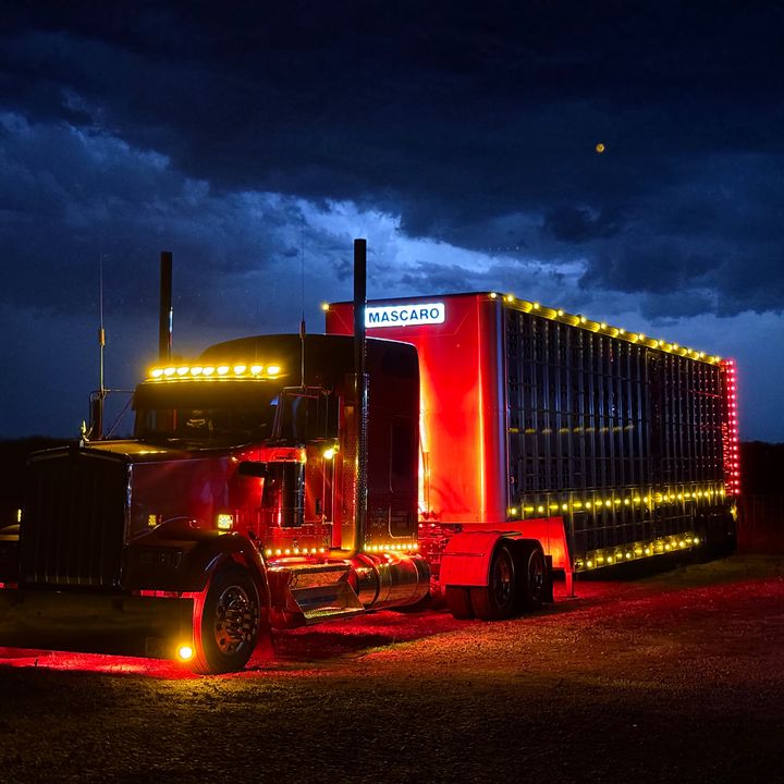 TxBullHauler92