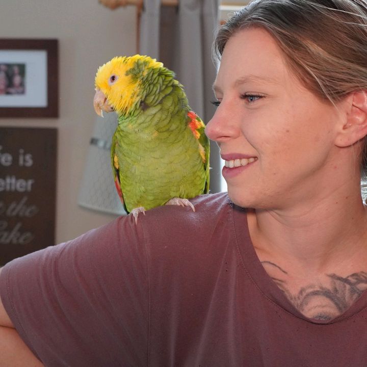 samanthasflock