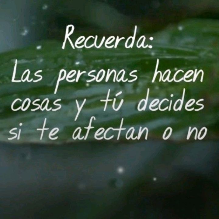 FrASees