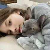 qq