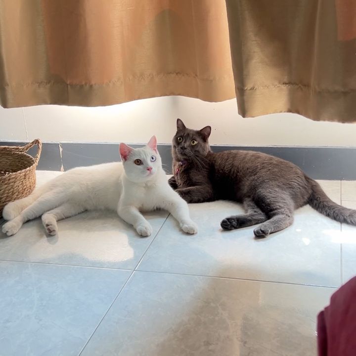 ลูกคุณหนูภูธร
