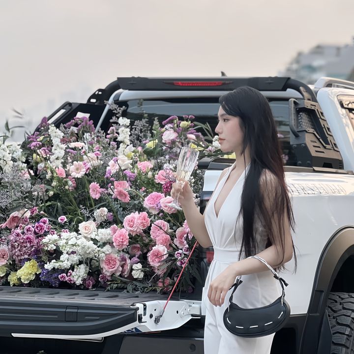 Lê Mỹ Linhh