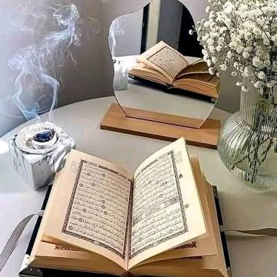 Merouane مروان Dz🇩🇿🇵🇸