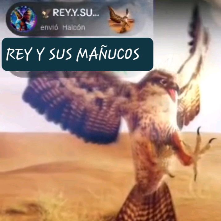 EL_REY_Y_SUS_MAÑUQUIT@S👑