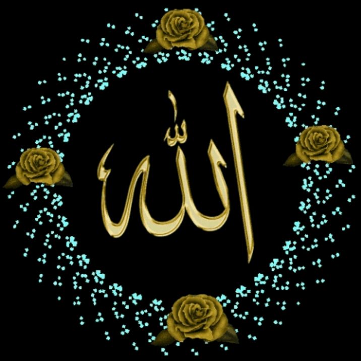 jameelAhmad