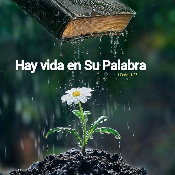Glebys,Quintero A