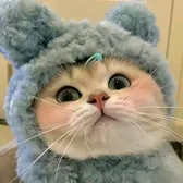 SU YA