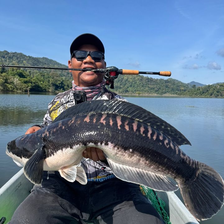 Anakrimaufishing