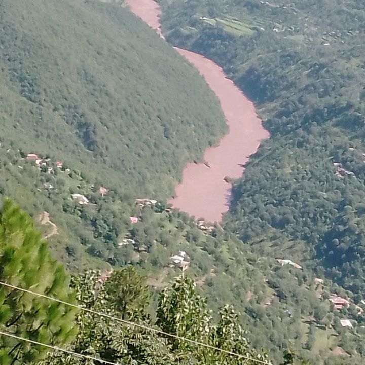 Gulniazabbasi15