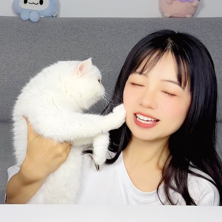 Chinese with Fan