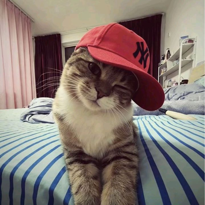 vicooooo