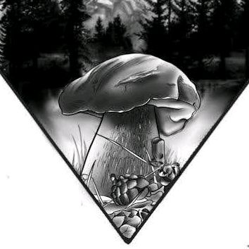 boletus_del_mundo